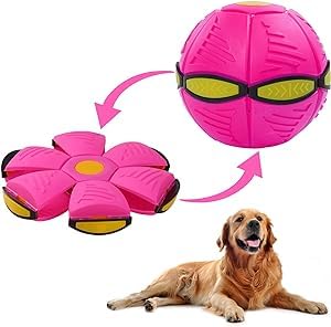 Pet Toy Flying Saucer Ball