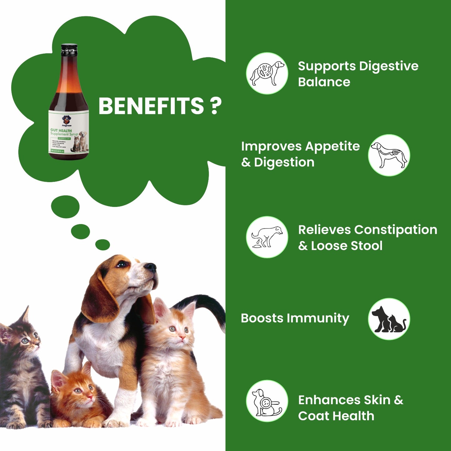 Petgreen Gut Health Supplement Syrup