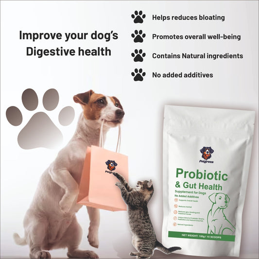 Petgreen Probiotic & Gut Health Supplement for Dogs