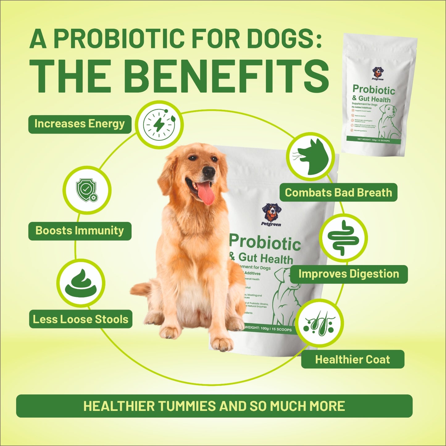 Petgreen Gut Health Combo – Probiotic Powder + Supplement Syrup