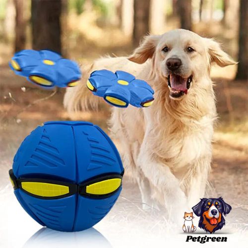 Pet Toy Flying Saucer Ball